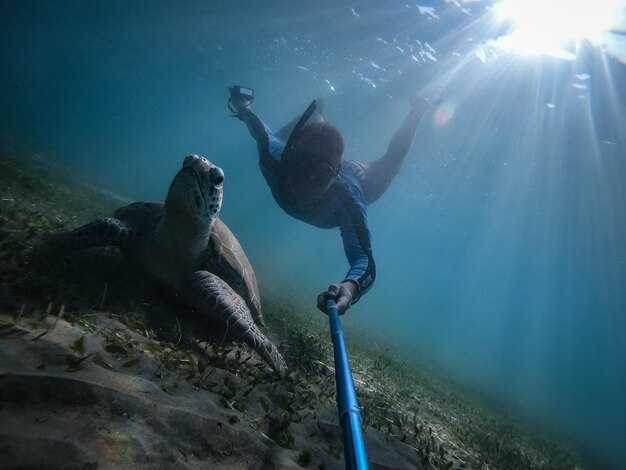 Pre-Dive Gear Checklist: Quick Verifications