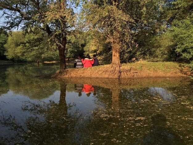 Camping Essentials: Campgrounds, Reservations, and Amenities