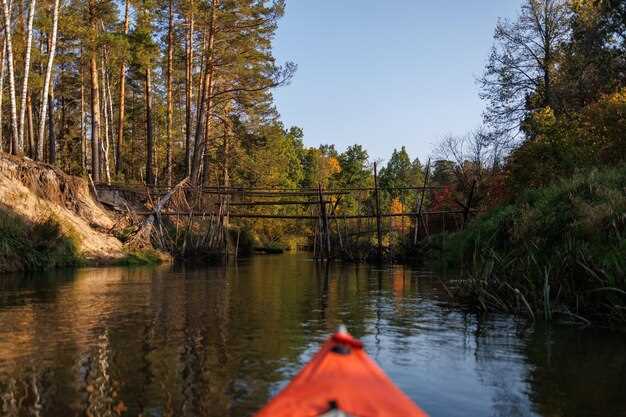 Big Creek State Park: Trails, Camping, Fishing, Nature in Ohio