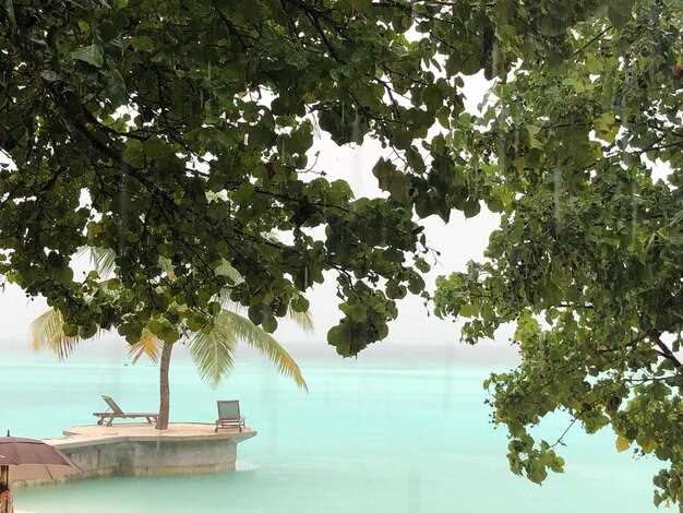 Best beach access and shoreline viewpoints on the routes