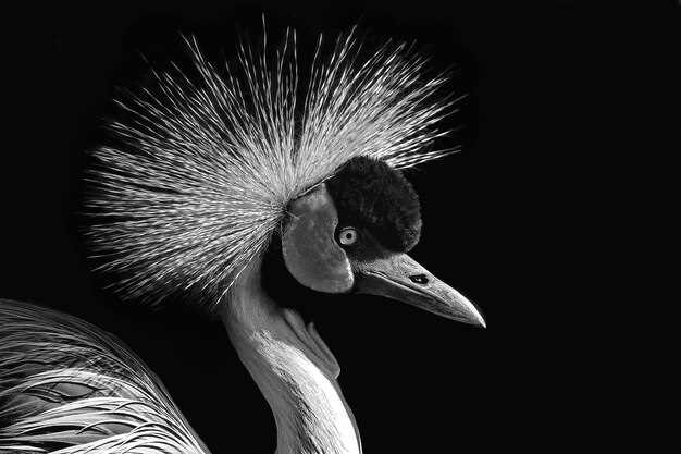 Information Request Process: What to Submit, Formats, and Response Time