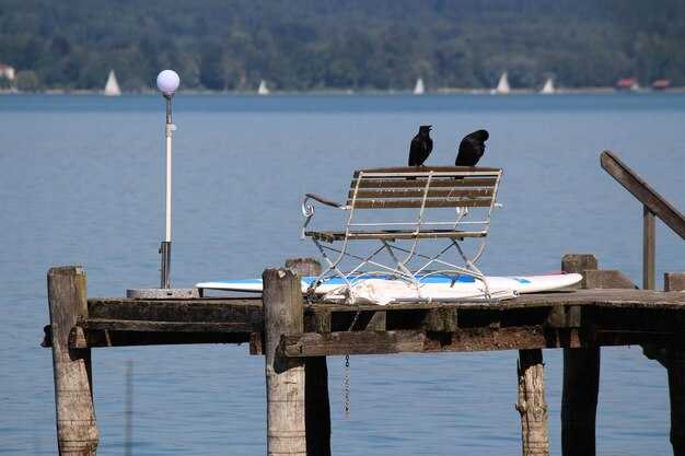 Navigation and signaling: VHF radio, GPS/chart plotter