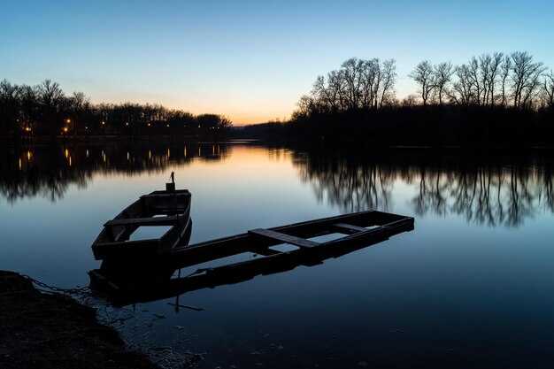 Safety, Licensing, Insurance, and Boating Requirements