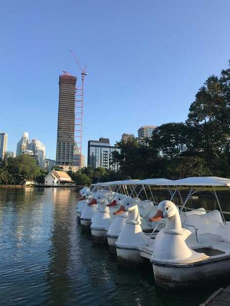 Seasonal considerations and river conditions for boating with a dog