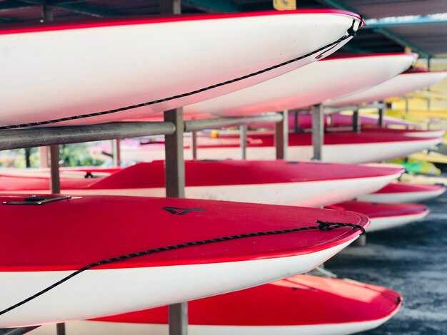 Choose Your Vessel: Double-Decker Party Barge vs Wake-Surf Boat