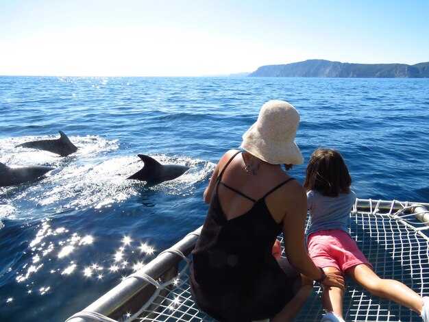 Best Dolphin & Manatee Watching: Spots, Seasons, and Wildlife Etiquette