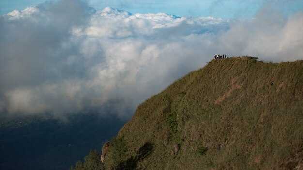 What Inspired the Partnership Between Brazzaville and Minerva?