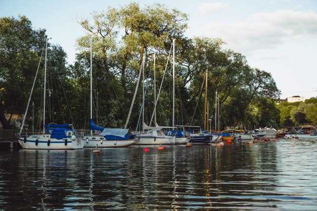 Types of Sailboats Available for Rent