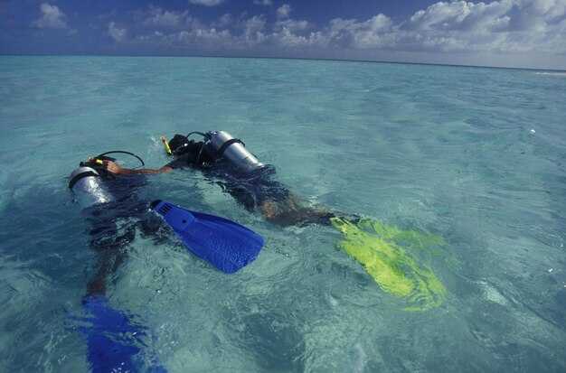 Life on the wall: highlights and practical notes