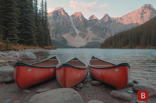 Explore the Benefits of Renting a Boat at Canyon Lake