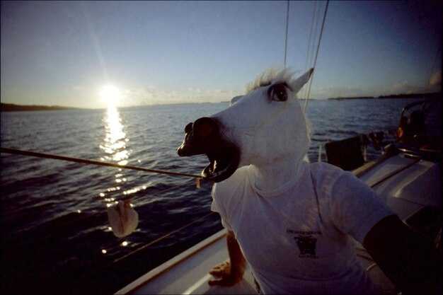 Catamaran vs Monohull – The Cat Is Better for Your Sailing Trip