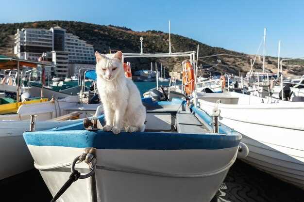Catamaran vs Monohull: Why the Cat is Your Best Choice for an Unforgettable Sailing Trip
