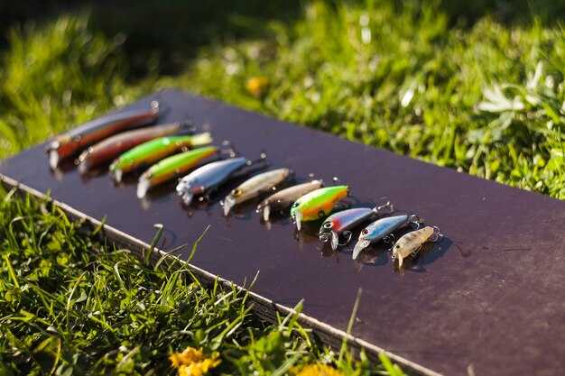 Complete Guide to Fishing Gear – Essential Equipment Anglers Need