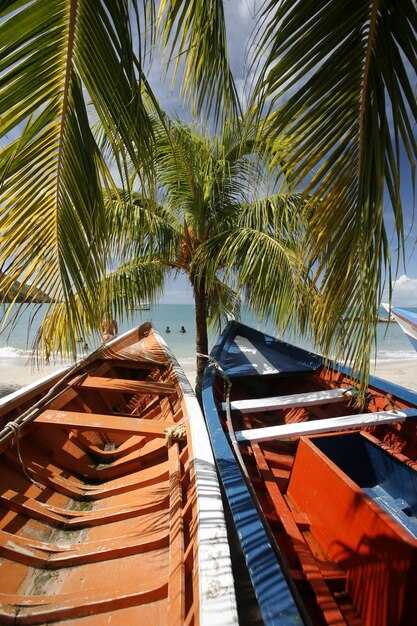 Best Waterfront Access: Docks, Launch Areas, and Calm Waters for Beginners