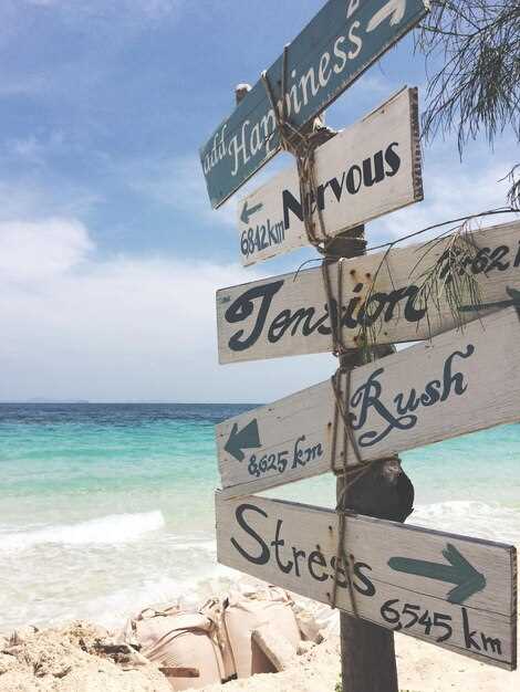 Practical Mooring, Anchoring, and Docking Tips Along the Coast