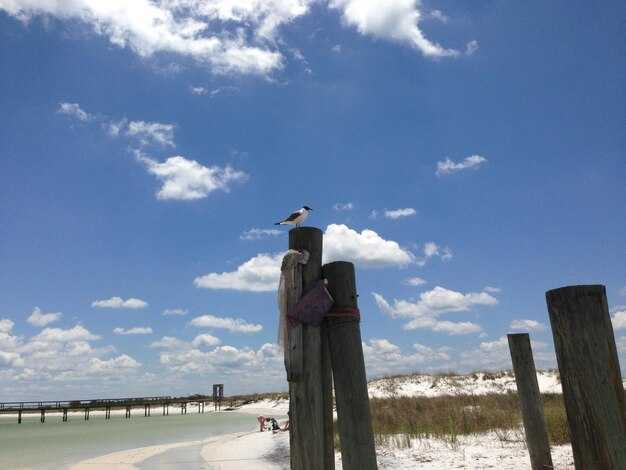 Practical Packing, Parking, and Local Logistics for a Smooth Trip