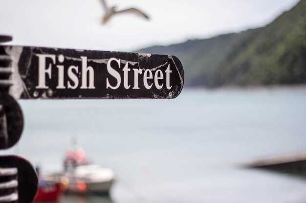 Optimal Booking: Tides, Weather, and Seasonal Windows