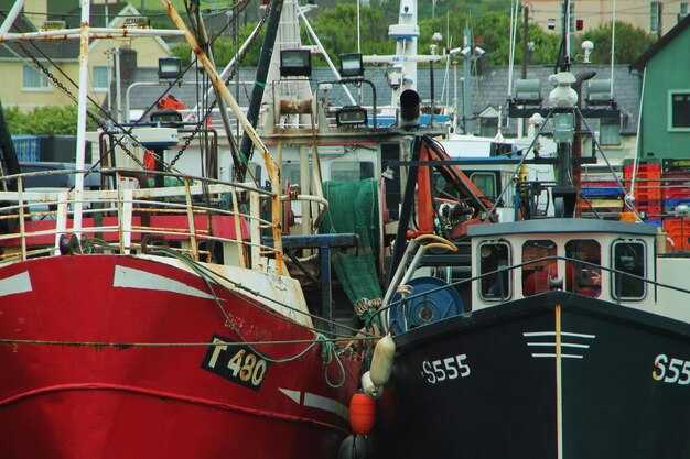 Optimal Booking Windows: Weather, Ice, and Availability