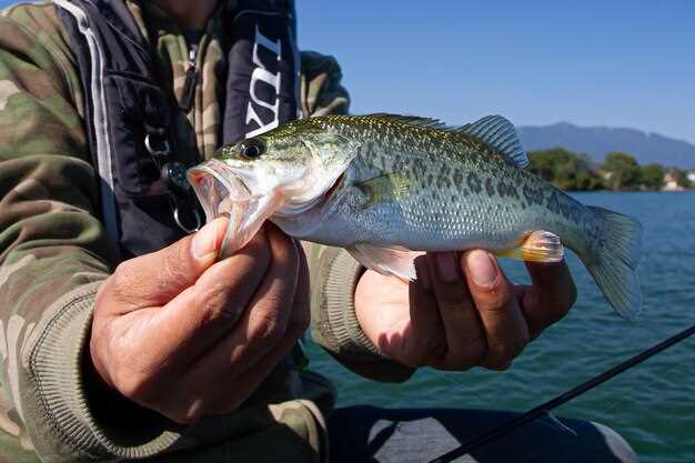 Damn Good Northern Pike Fishing Guides in Michigan | Expert Pike Fishing Tours