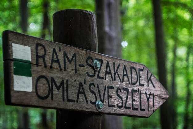 Park Rules and Amenities: Pets, Golf Carts, EV Charging