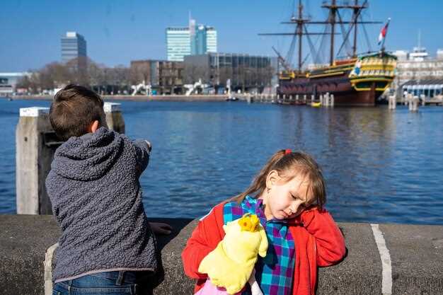 Current Status of the Pontoons