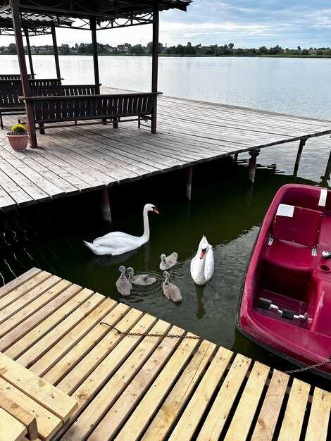 Unique Attractions Nearby: What to Explore