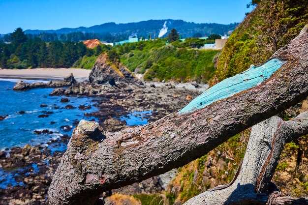 Discover Cape Vincent NY: A Hidden Gem of the Thousand Islands