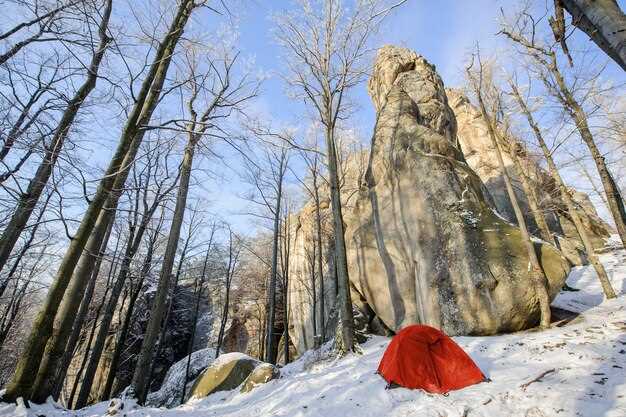 Exploring Carson City's Attractions