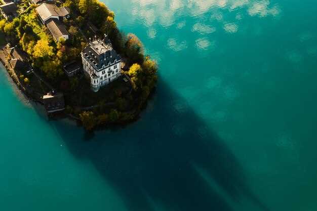 What Products Are Offered in the Store?