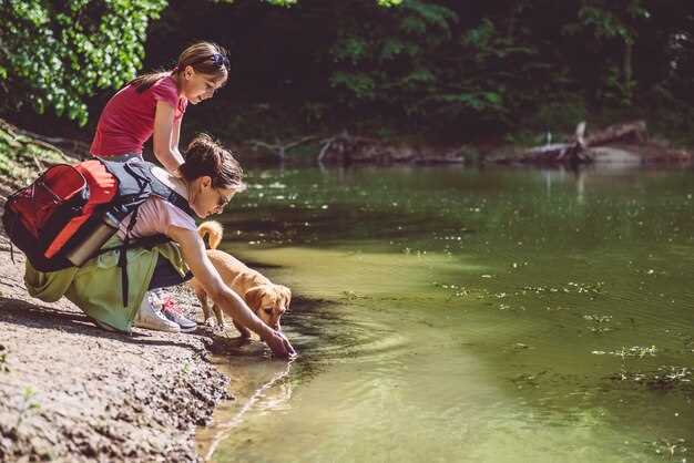 Traveling from Redding to Oregon: Route Highlights