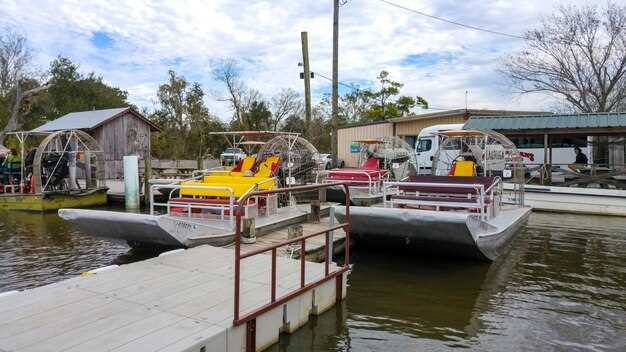 Pontoon Boat Rental Options in Anne Arundel County