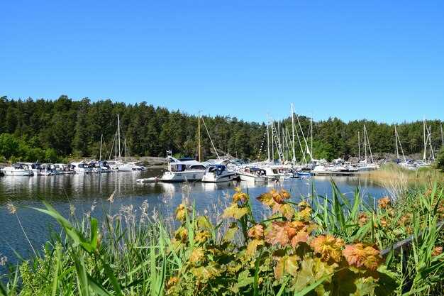 Wildlife Watching Tours