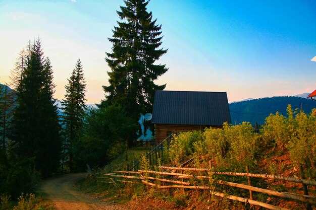 Proximity to Local Attractions