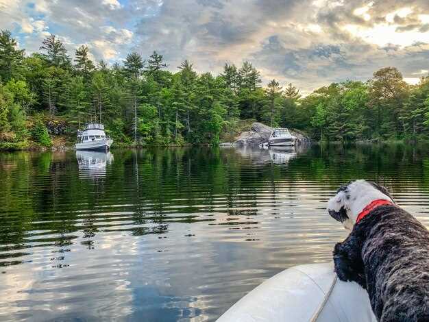 Scopri le migliori opzioni di noleggio barche sul Lago Wylie per la tua giornata perfetta sull'acqua.