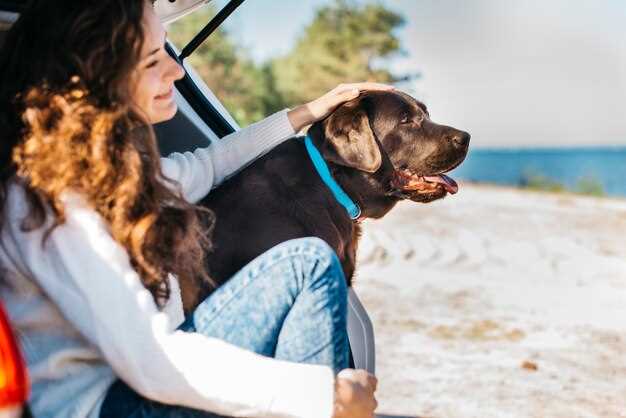 Popular Rental Platforms for Finding Pet-Friendly Options
