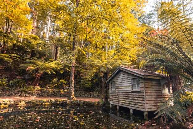 Location and Access: How to Get There