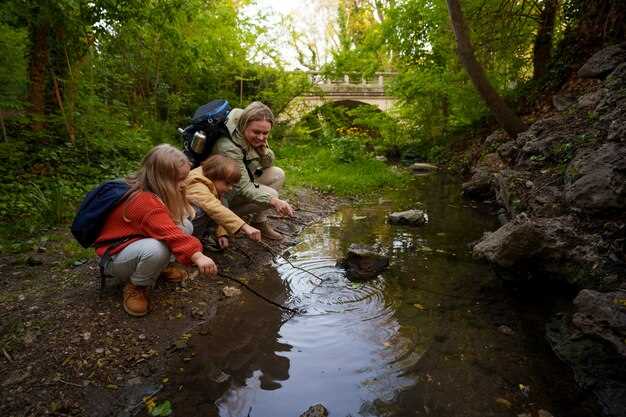 Exploring the Local Attractions