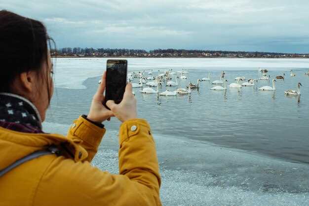 Available Models and Configurations