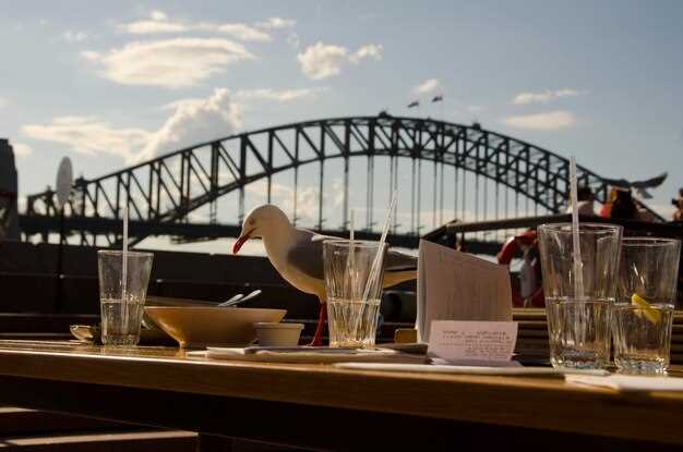 Dock and Dine Chicago River – Top Waterfront Dining Experiences