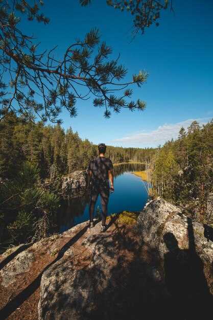 Editor’s Choice: Exploring Acadia National Park in Maine - Top Tips