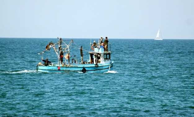 What Fish Species Can You Catch at Eildon Dam?