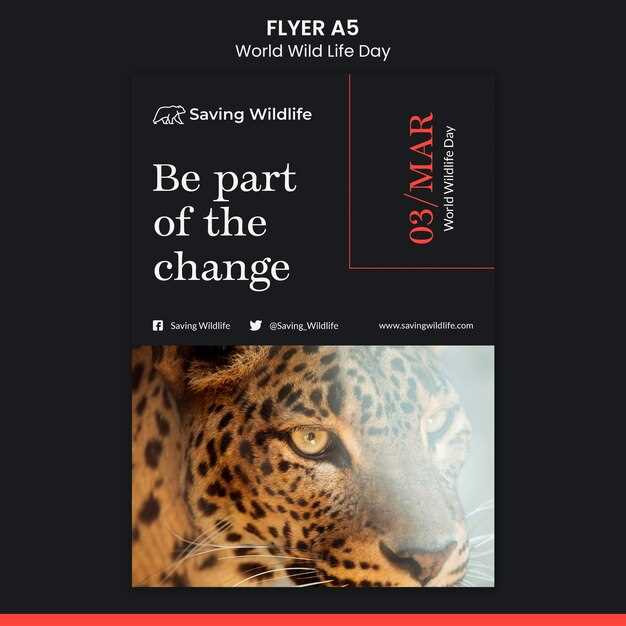 Designers and build partners