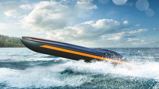 What to Expect from Dolphin Speedboat Tours
