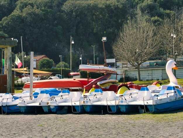 Top Boat Tours and Experiences