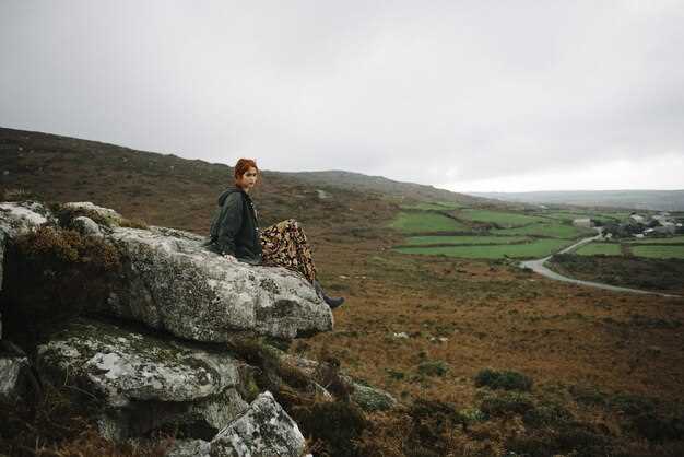 Seasonal Bird Migration Patterns