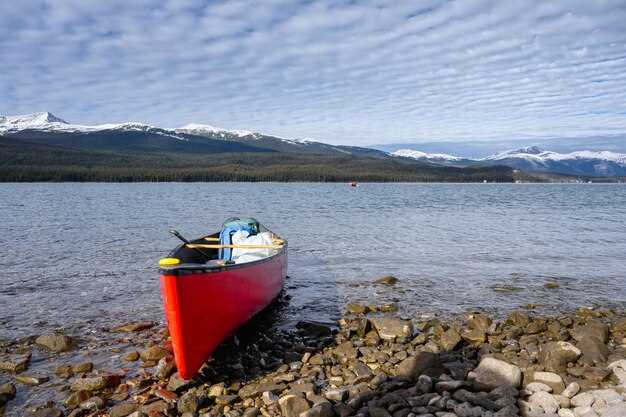 Safety Tips for First-Time Renters