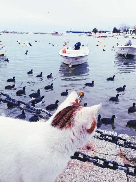 Explore the Best Seward Alaska Fishing Charters with Puffin Charters