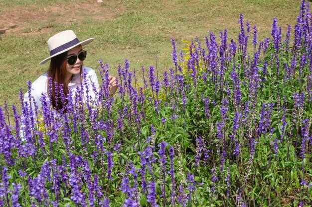 Exploring Brenham, Texas – A Guide to the Heart of Bluebonnet Country