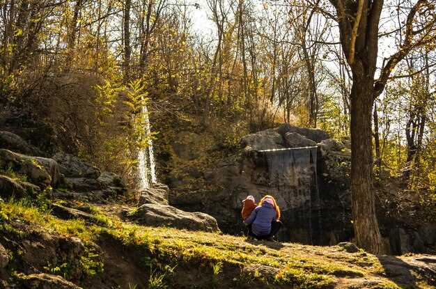 Overview of School District Performance