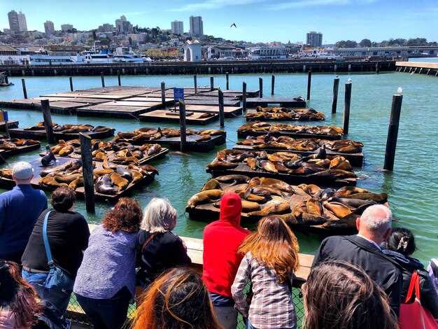 Key Projects Shaping Bremerton's Landscape